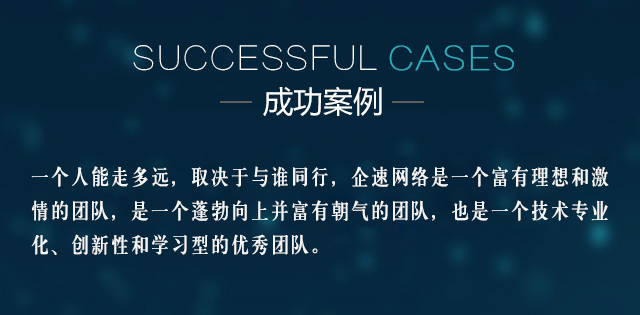 成功案例